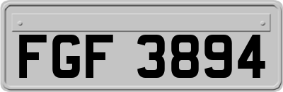 FGF3894
