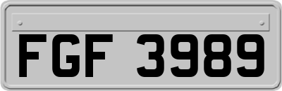 FGF3989