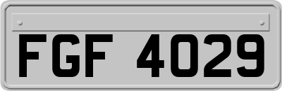 FGF4029