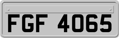 FGF4065