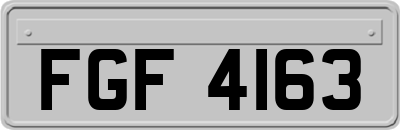 FGF4163