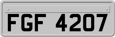 FGF4207