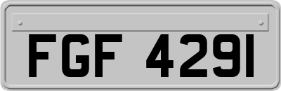 FGF4291