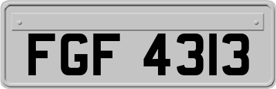 FGF4313