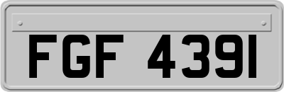 FGF4391