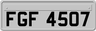 FGF4507