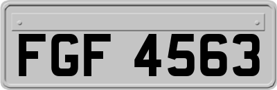 FGF4563