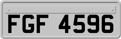FGF4596