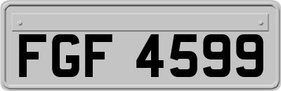 FGF4599