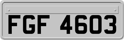FGF4603