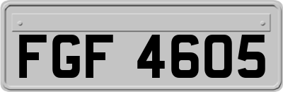 FGF4605