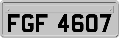 FGF4607