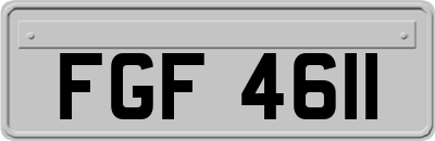 FGF4611