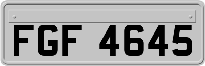 FGF4645