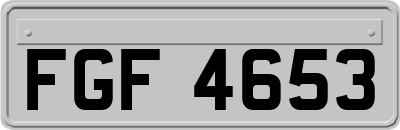 FGF4653