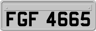 FGF4665
