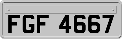 FGF4667