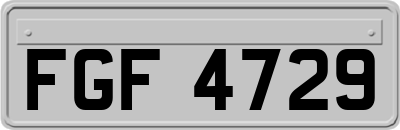 FGF4729