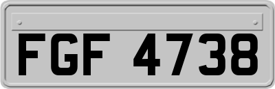 FGF4738