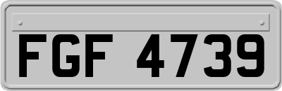 FGF4739