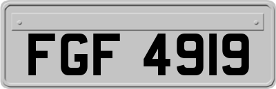 FGF4919