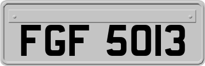 FGF5013