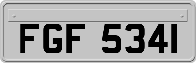FGF5341