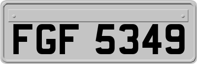 FGF5349