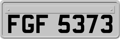 FGF5373