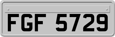 FGF5729