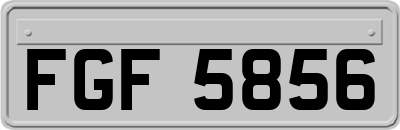 FGF5856