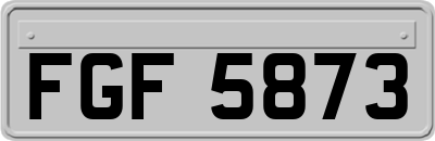 FGF5873