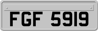 FGF5919