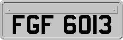 FGF6013