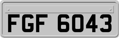FGF6043
