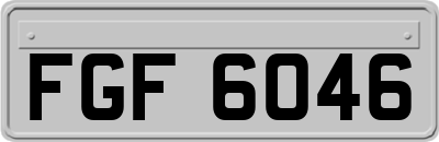 FGF6046