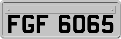 FGF6065