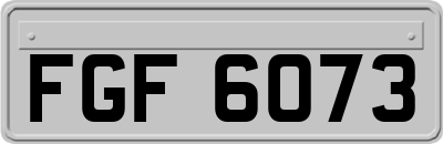 FGF6073
