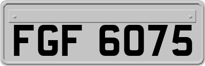 FGF6075