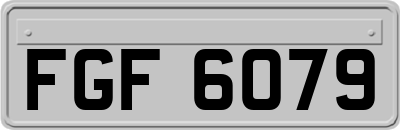 FGF6079