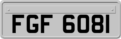 FGF6081