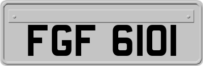 FGF6101