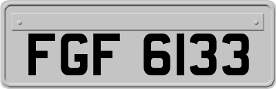 FGF6133