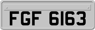 FGF6163