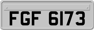 FGF6173