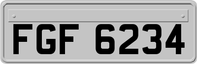 FGF6234