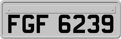 FGF6239
