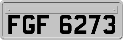 FGF6273