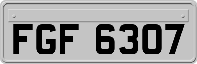 FGF6307