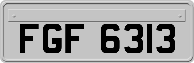 FGF6313
